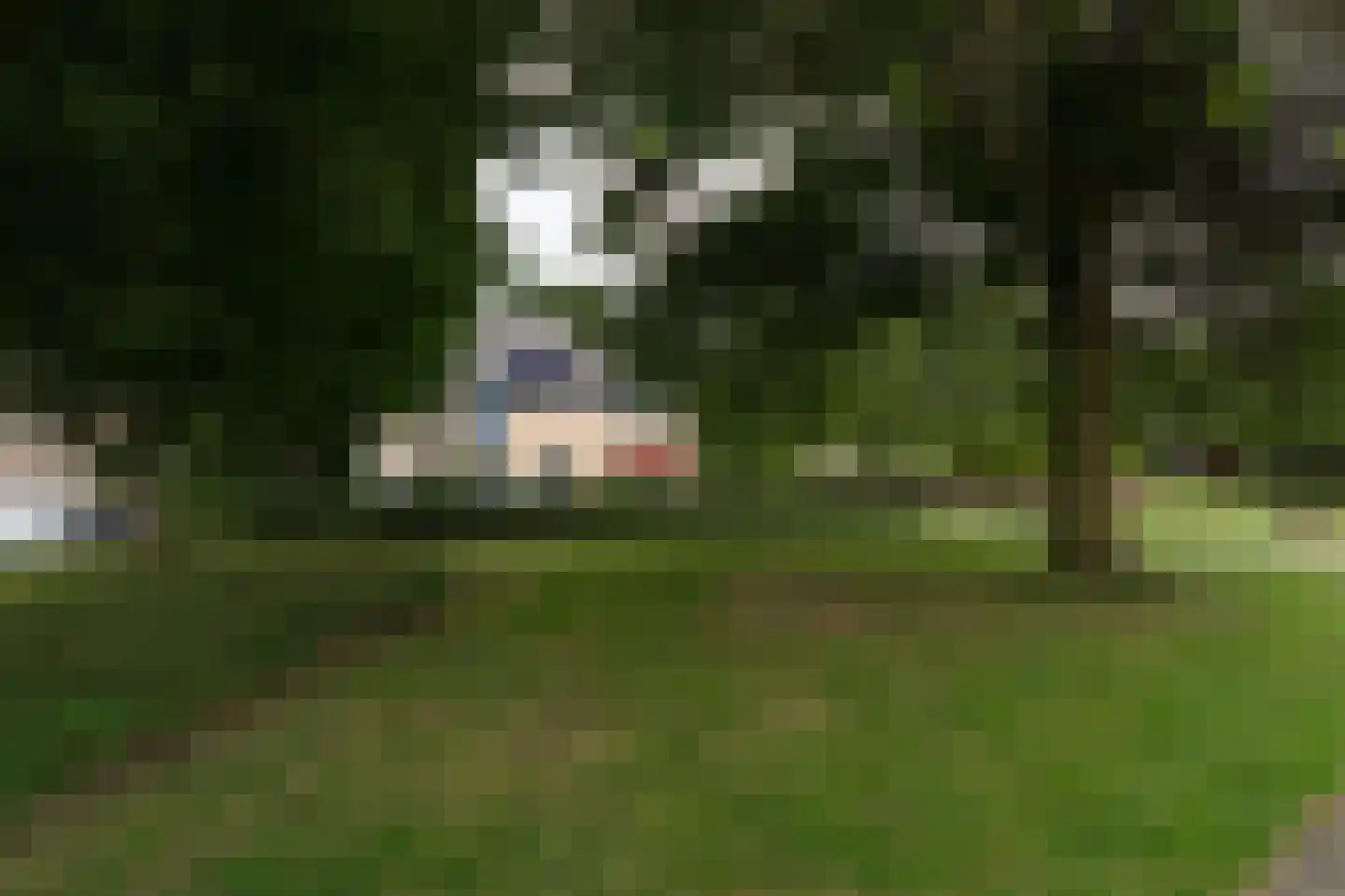 Grasland 31 Barneveld thumbnail 32