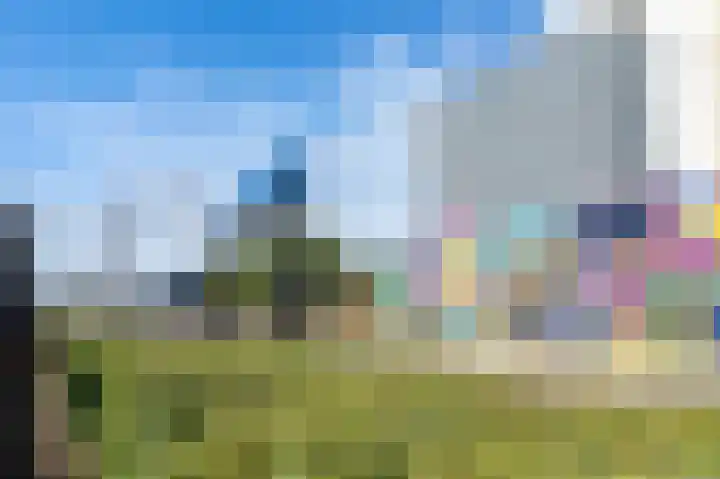 Grasland 31 Barneveld thumbnail 35