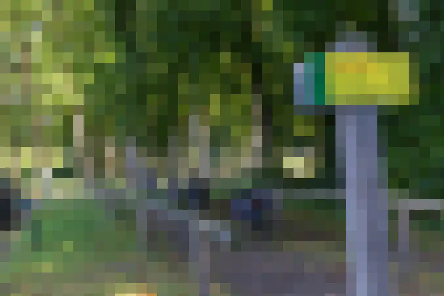 Grasland 31 Barneveld thumbnail 35