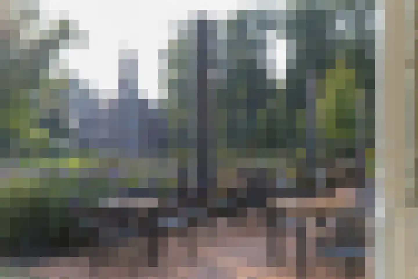 Grasland 31 Barneveld thumbnail 37