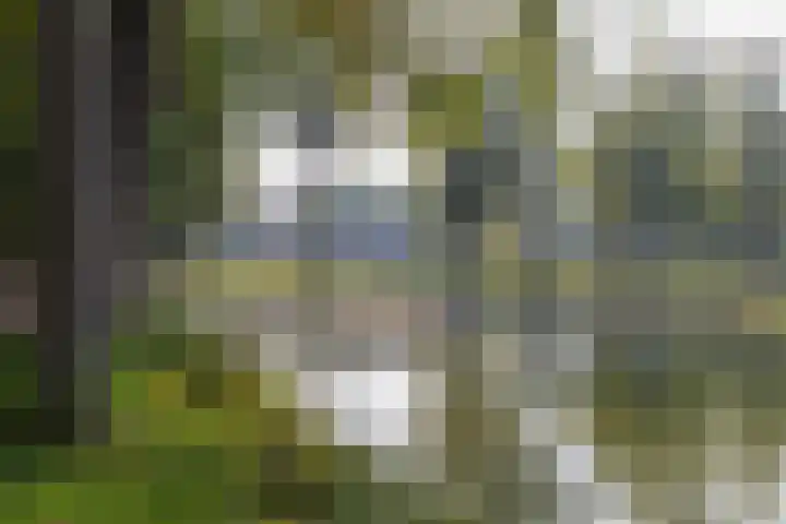 Grasland 31 Barneveld thumbnail 37