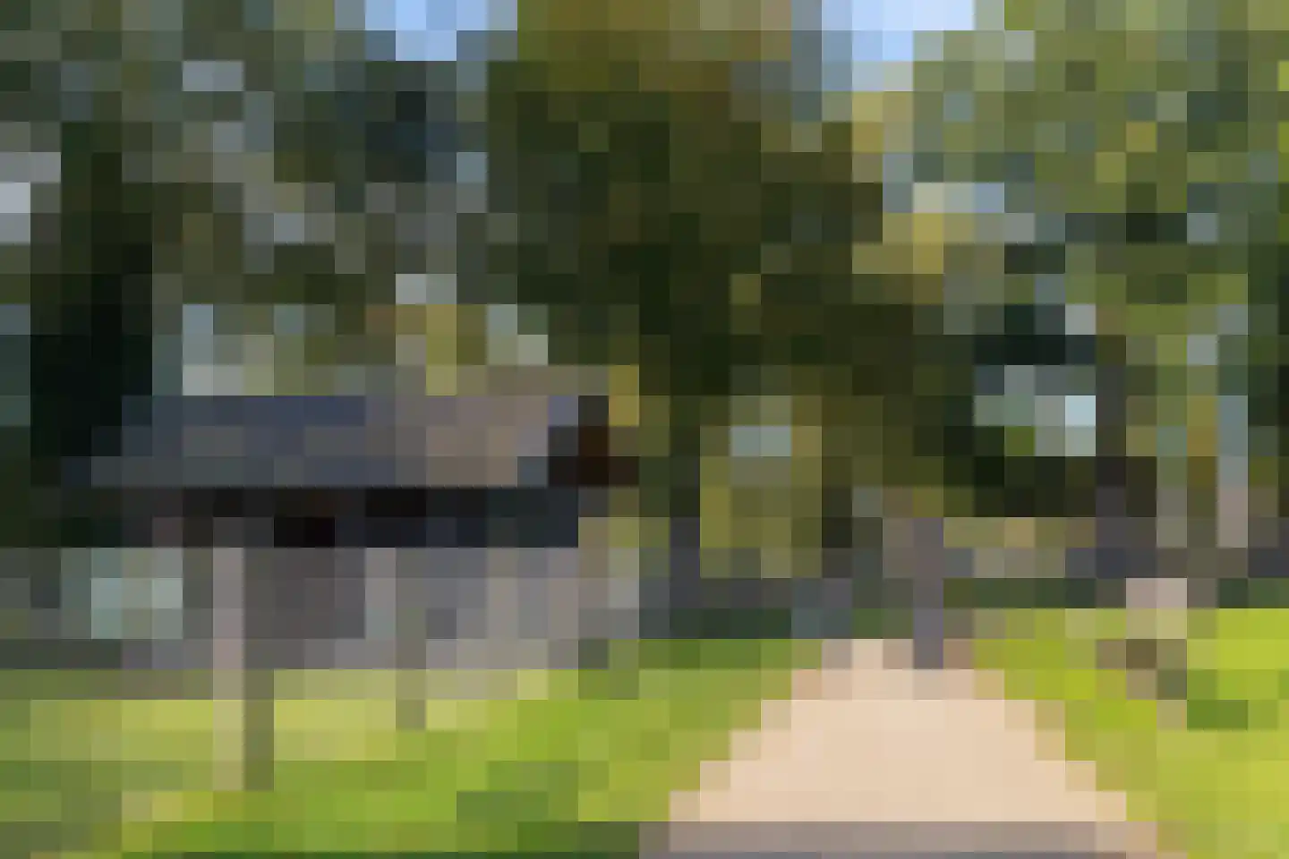 Grasland 31 Barneveld thumbnail 38