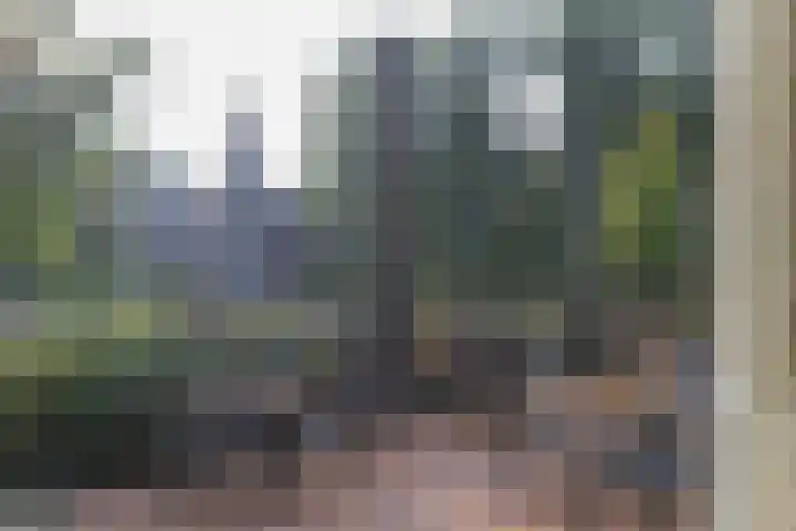 Grasland 31 Barneveld thumbnail 38