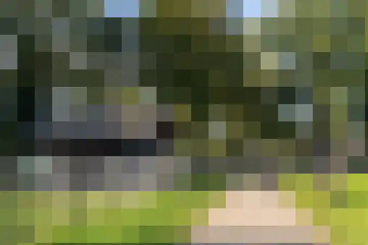 Grasland 31 Barneveld thumbnail 39