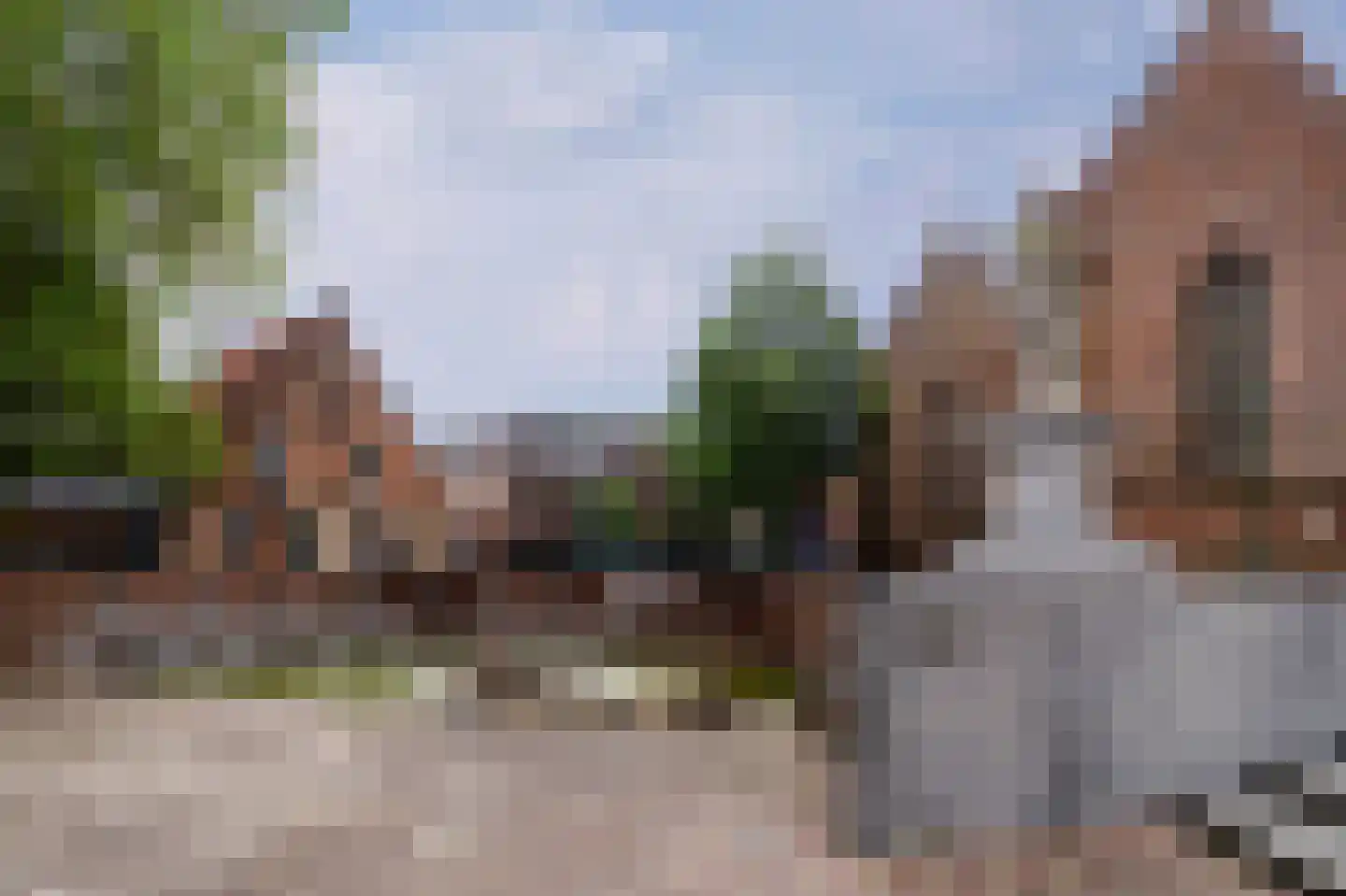 Grasland 31 Barneveld thumbnail 39