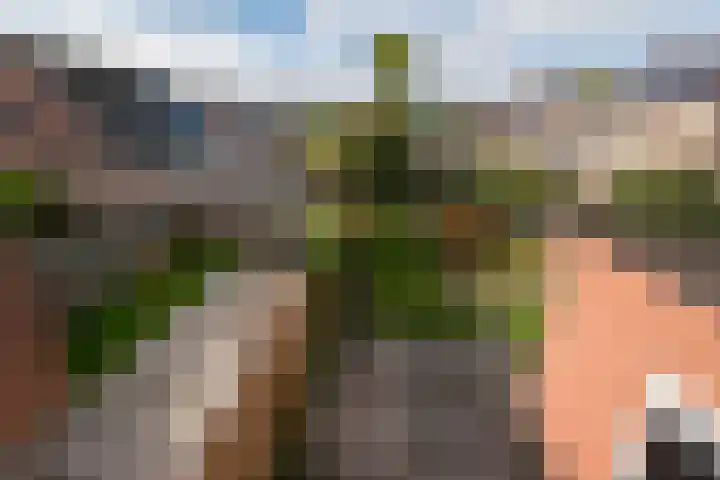 Grasland 38 Drachten thumbnail 24