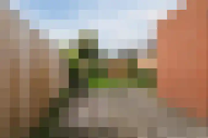 Grasland 38 Drachten thumbnail 25