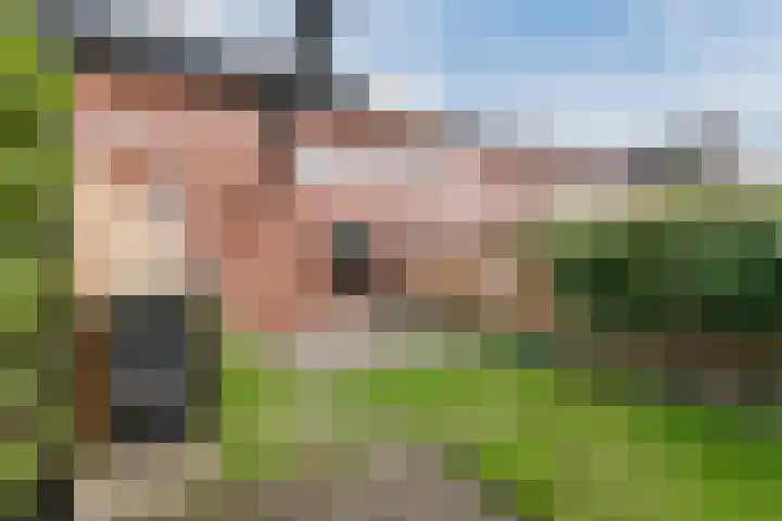 Grasland 38 Drachten thumbnail 27