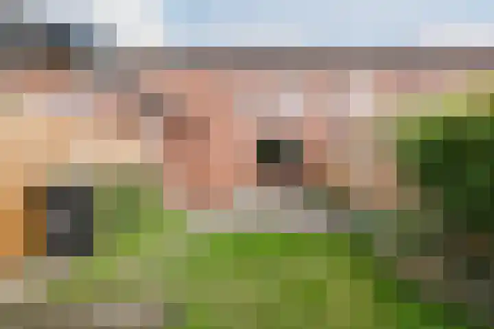 Grasland 38 Drachten thumbnail 28