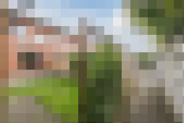 Grasland 38 Drachten thumbnail 29