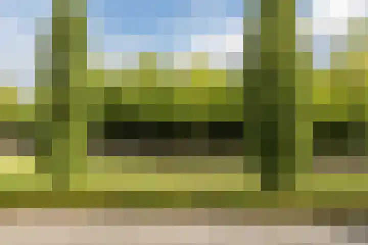 Grasland 38 Drachten thumbnail 30