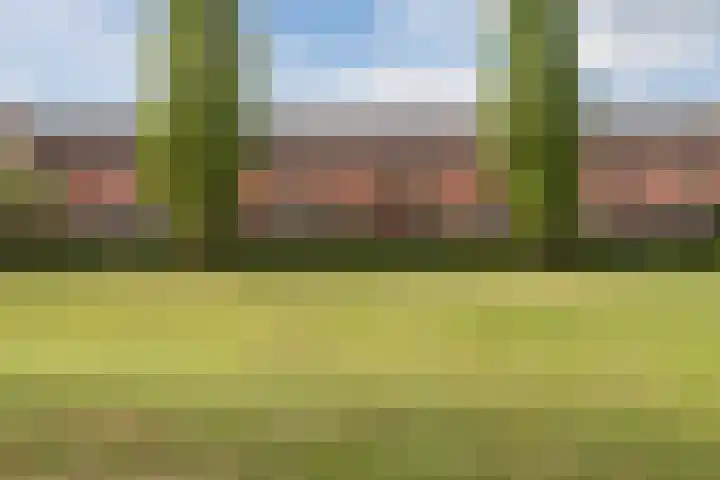 Grasland 38 Drachten thumbnail 31