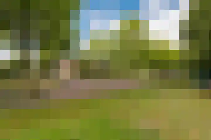 Grasland 38 Drachten thumbnail 32