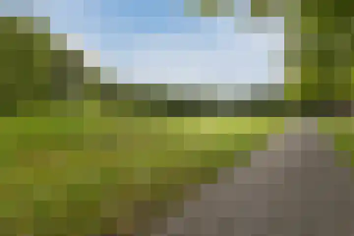 Grasland 38 Drachten thumbnail 33