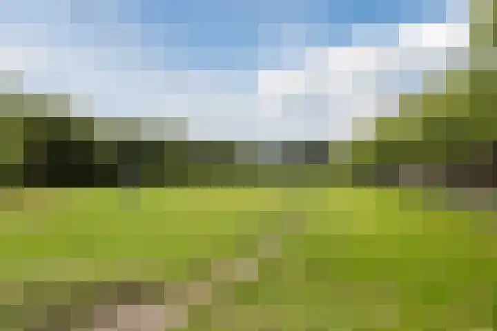 Grasland 38 Drachten thumbnail 34