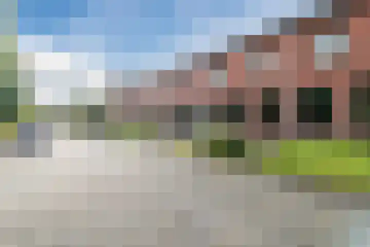 Grasland 38 Drachten thumbnail 4