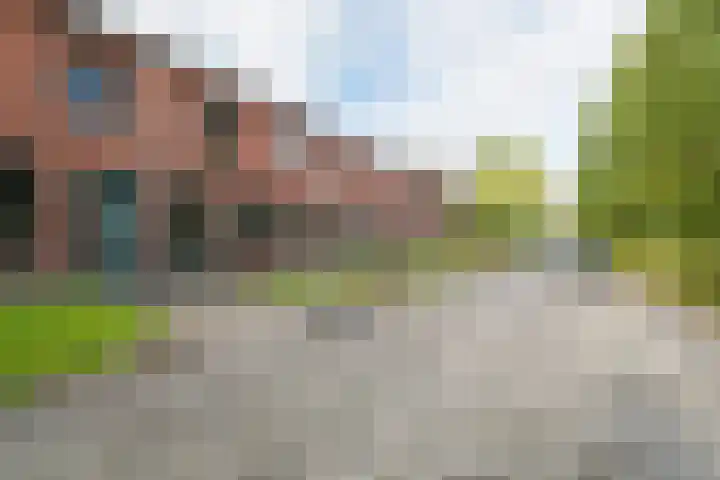 Grasland 38 Drachten thumbnail 5
