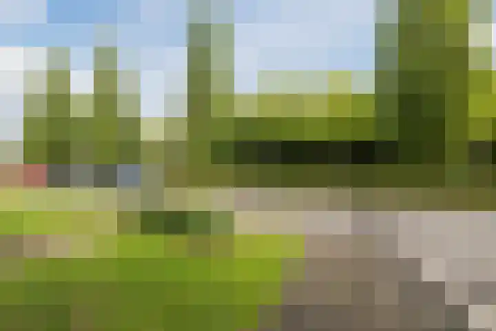 Grasland 38 Drachten thumbnail 6