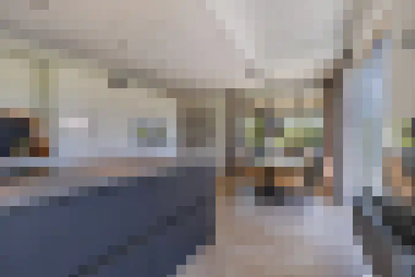 Grasland 6 Drachten thumbnail 22