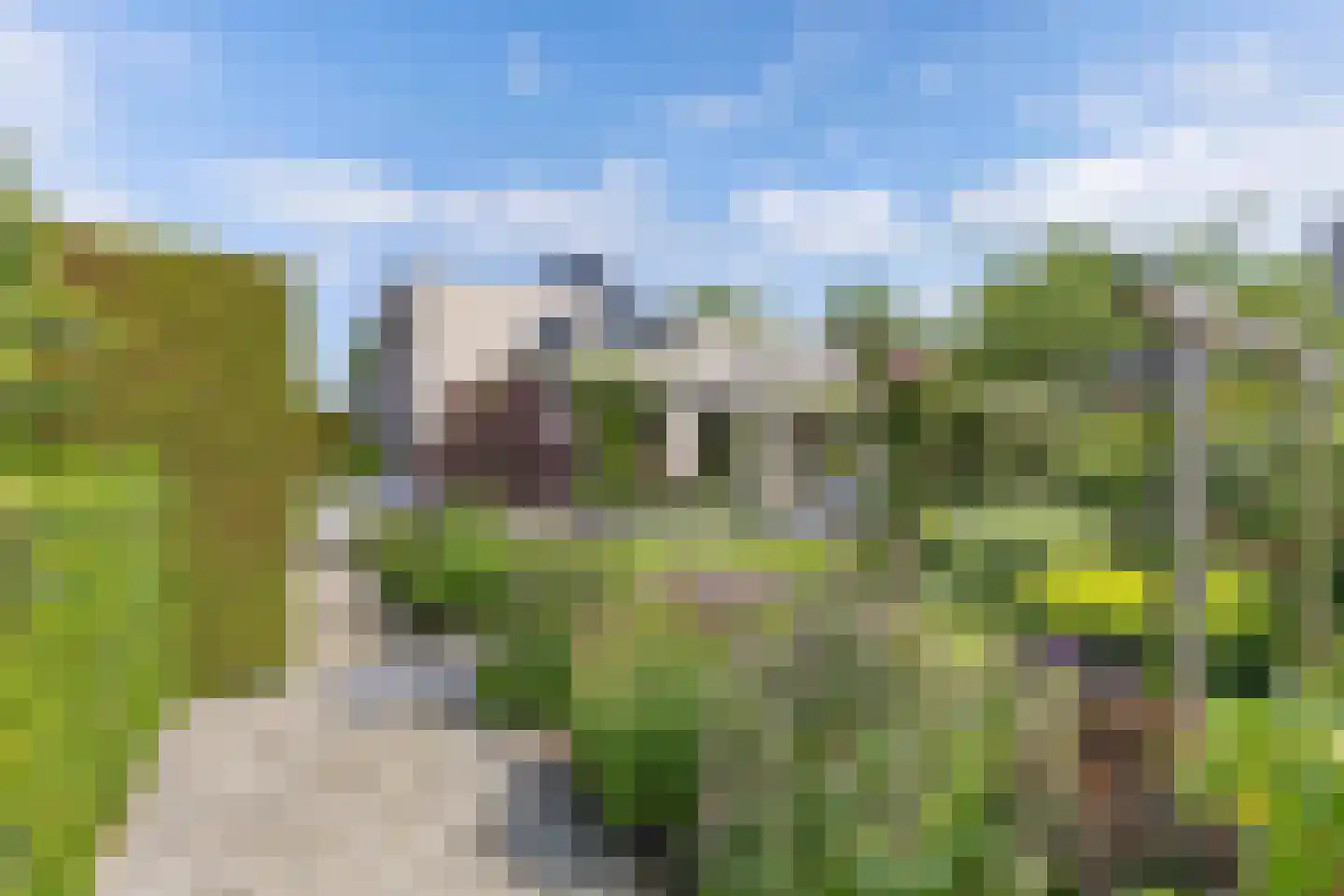 Grasland 6 Drachten thumbnail 66