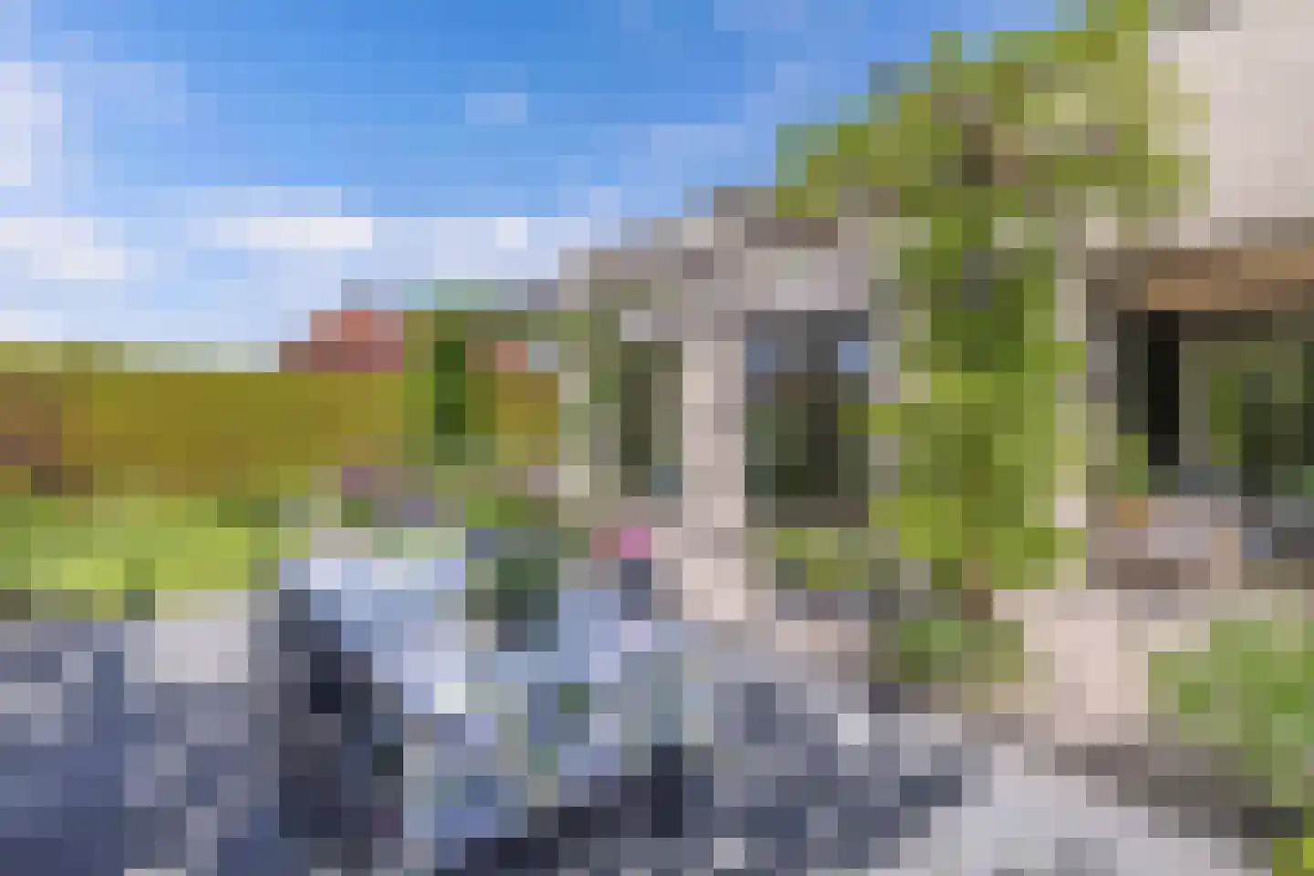 Grasland 6 Drachten thumbnail 68