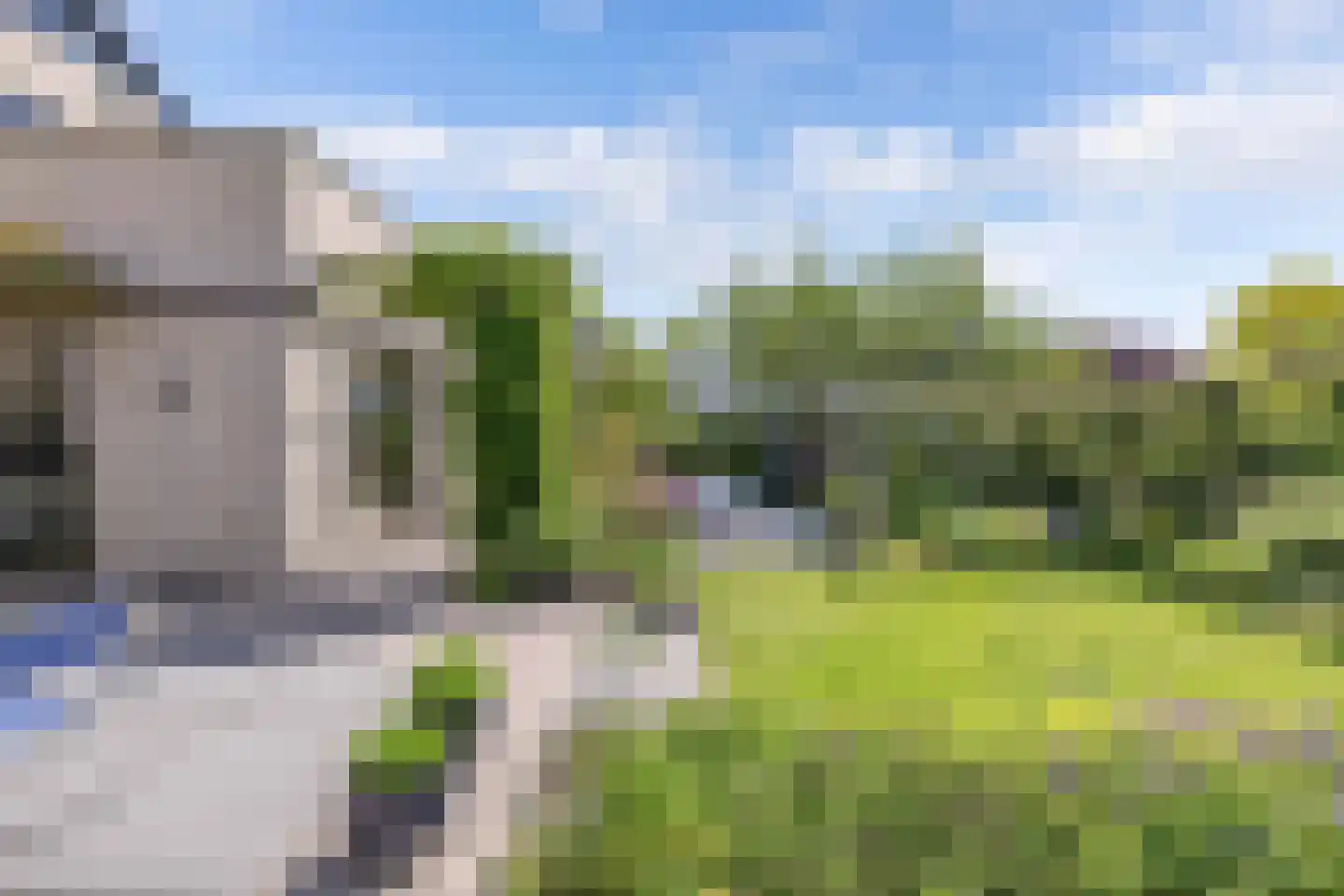 Grasland 6 Drachten thumbnail 75