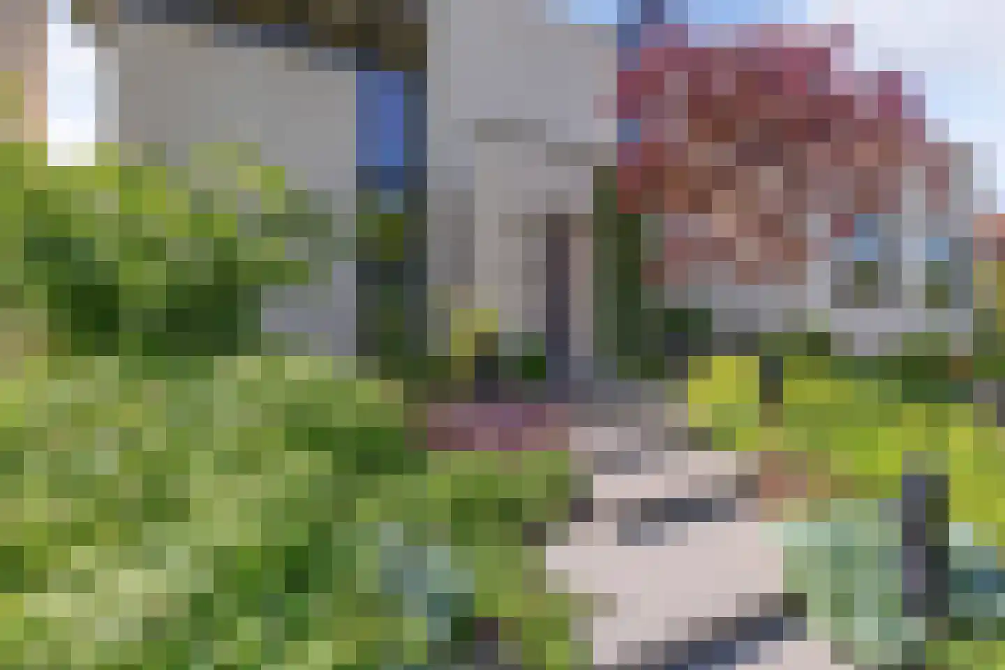 Grasland 6 Drachten thumbnail 8
