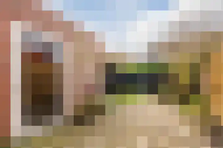 Grasland 64 Drachten thumbnail 29