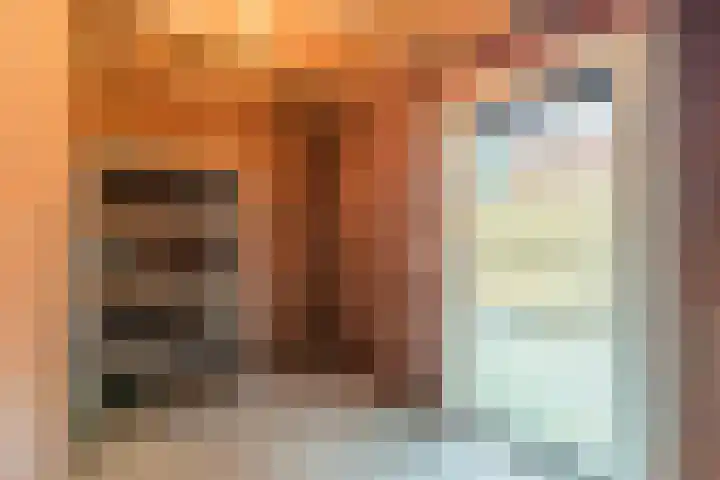Grasland 64 Drachten thumbnail 31