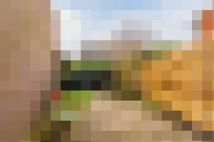 Grasland 64 Drachten thumbnail 33
