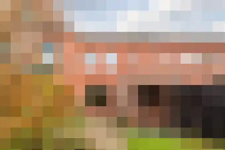 Grasland 64 Drachten thumbnail 34