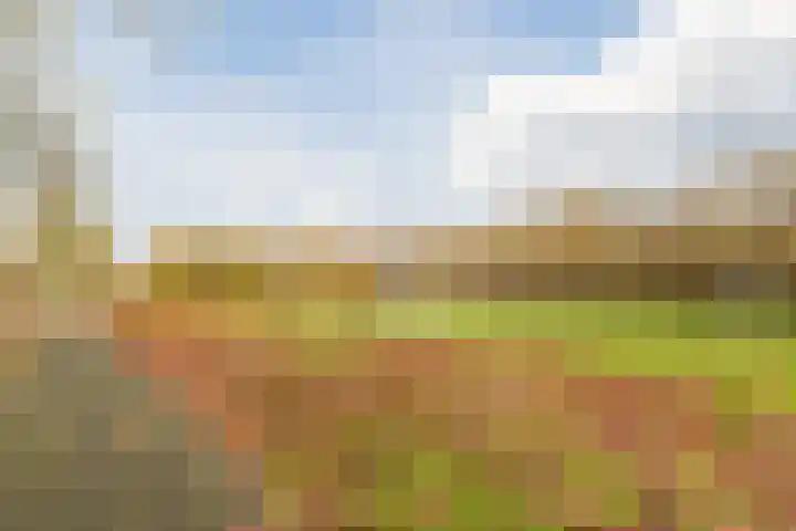 Grasland 64 Drachten thumbnail 37