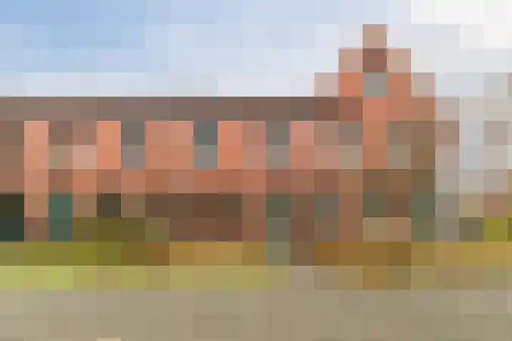 Grasland 64 Drachten thumbnail 6