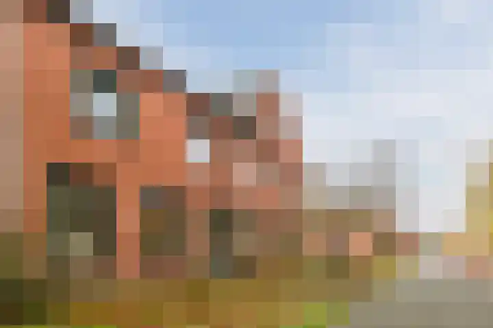 Grasland 64 Drachten thumbnail 7