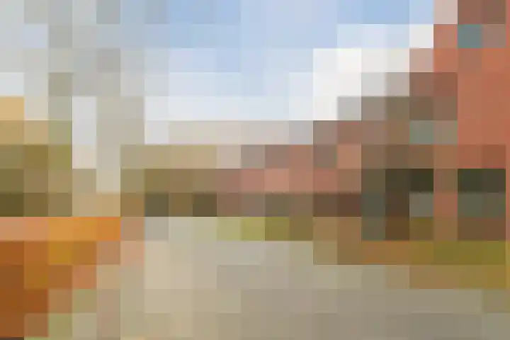 Grasland 64 Drachten thumbnail 8
