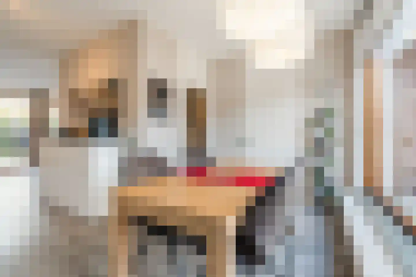 Grasland 66 Eindhoven thumbnail 4