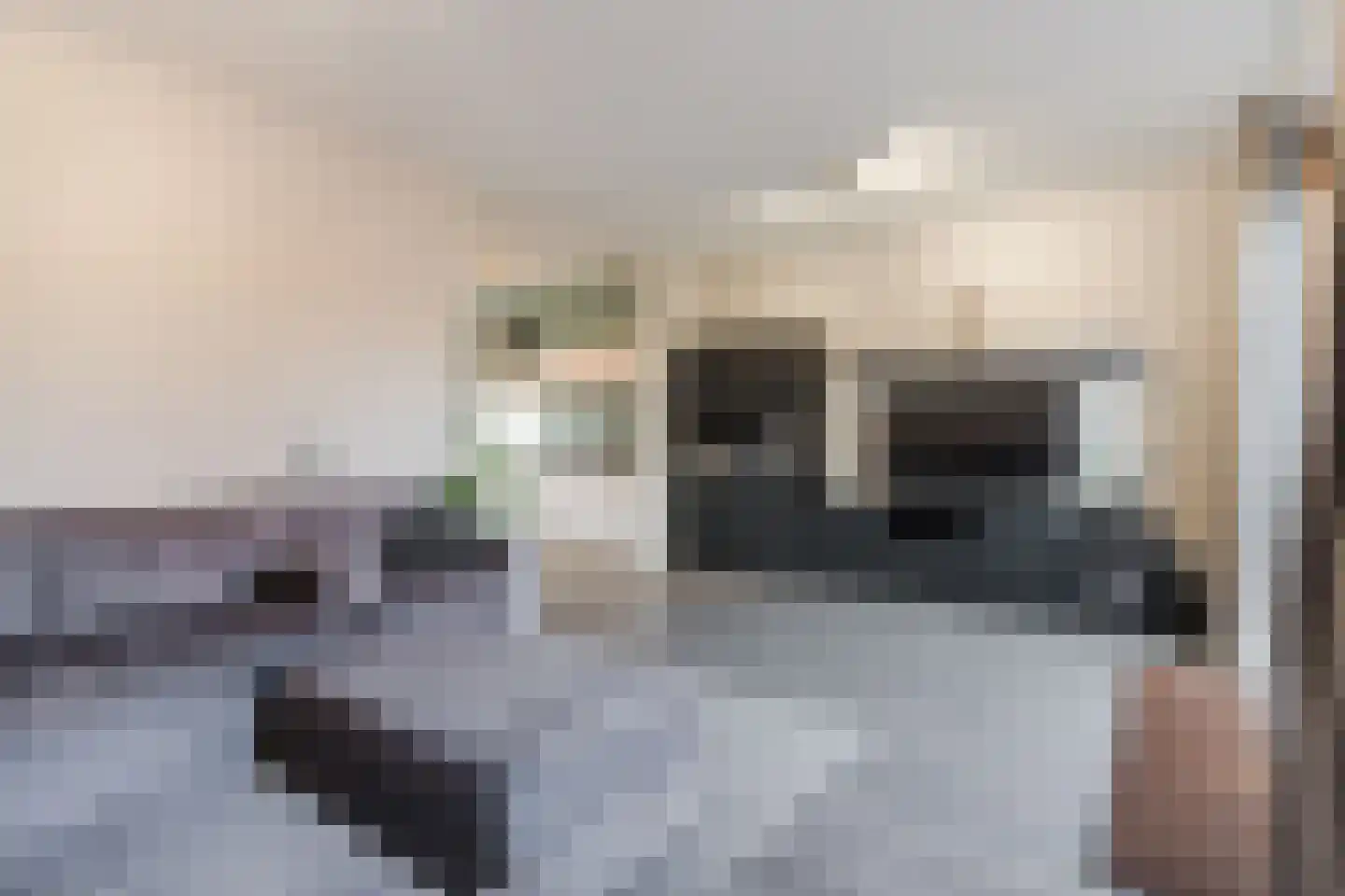 Grasland 66 Eindhoven thumbnail 8