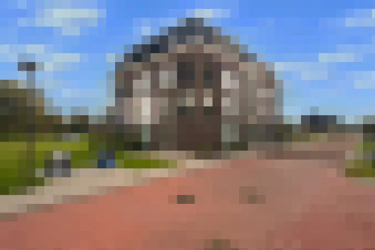 Grasland 8 't Zand