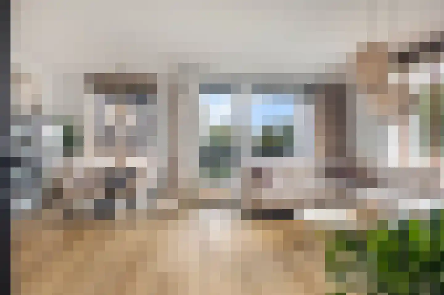 Grasland 8 't Zand thumbnail 16