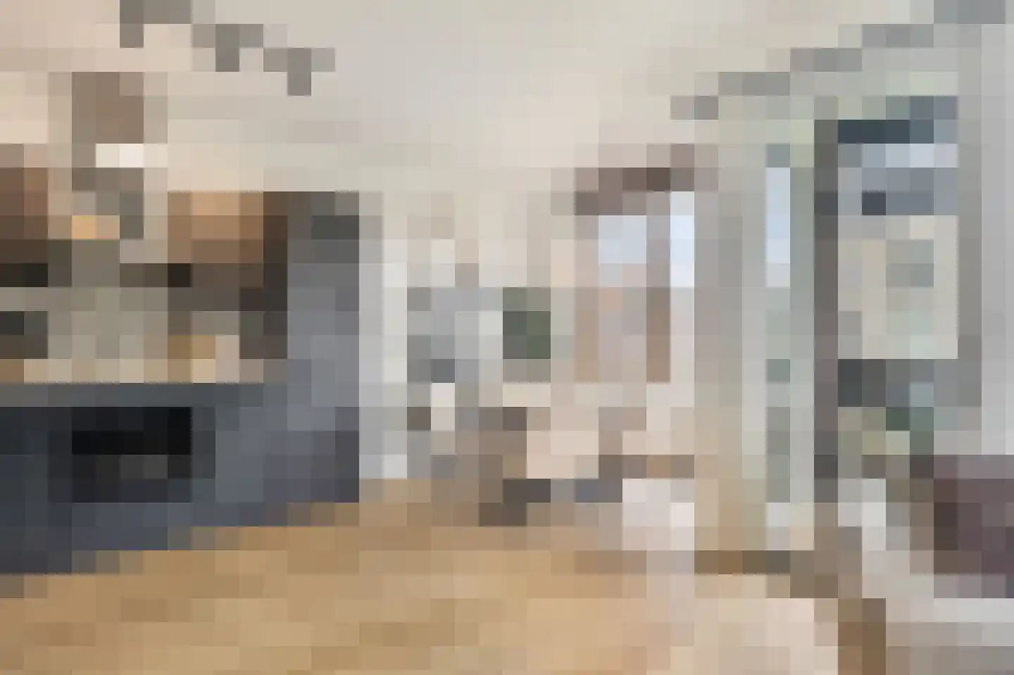 Grasland 8 't Zand thumbnail 18