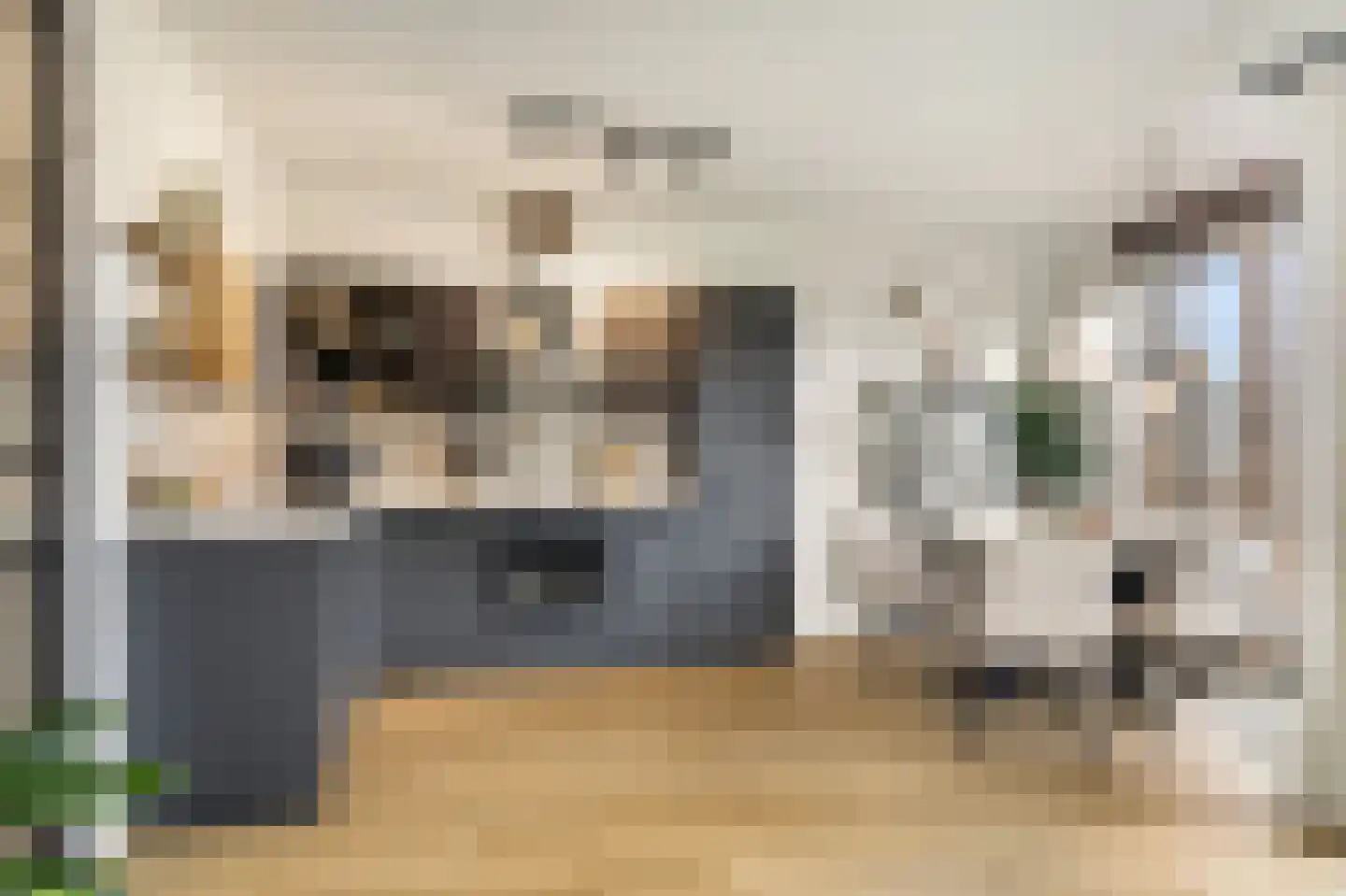 Grasland 8 't Zand thumbnail 21