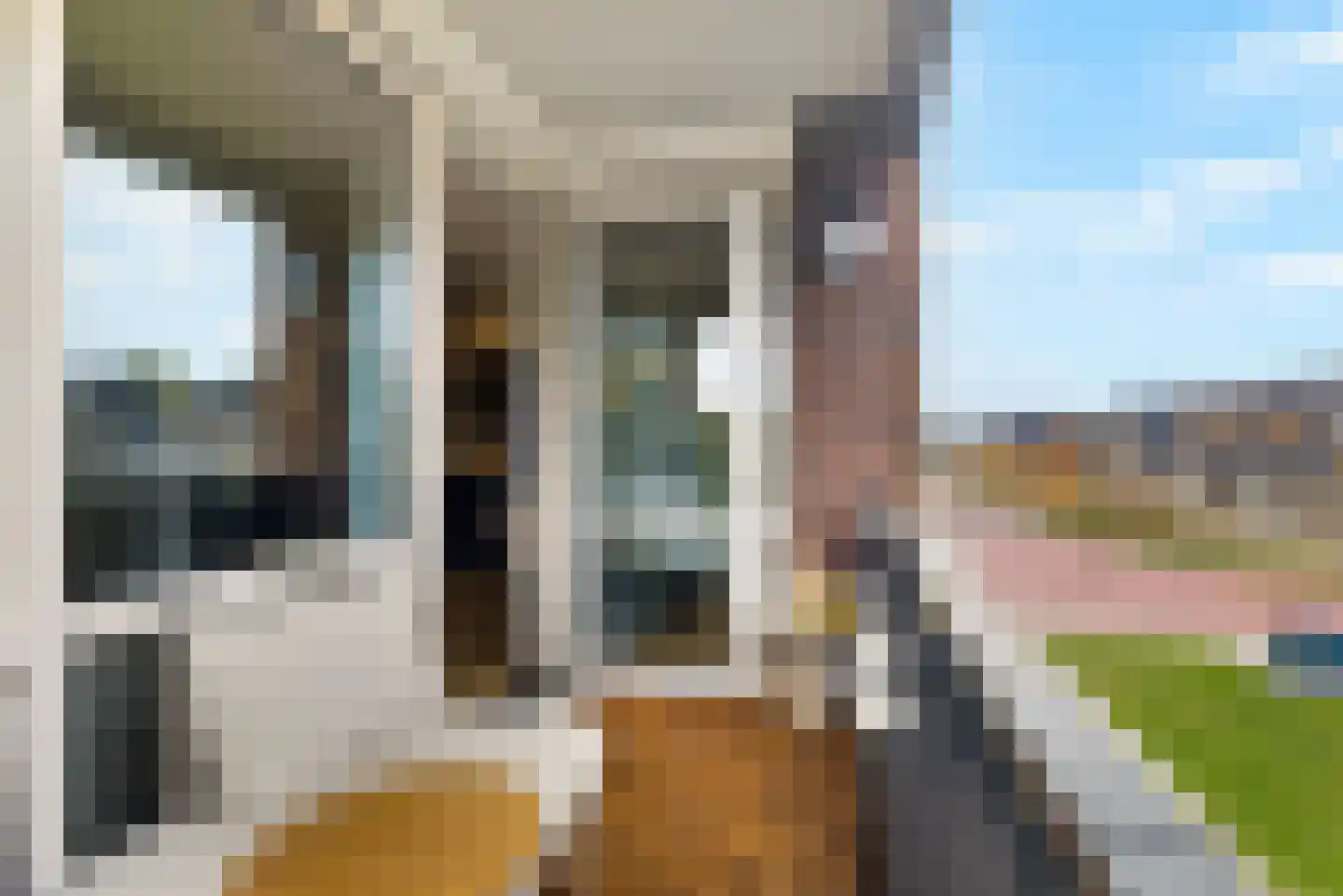 Grasland 8 't Zand thumbnail 24