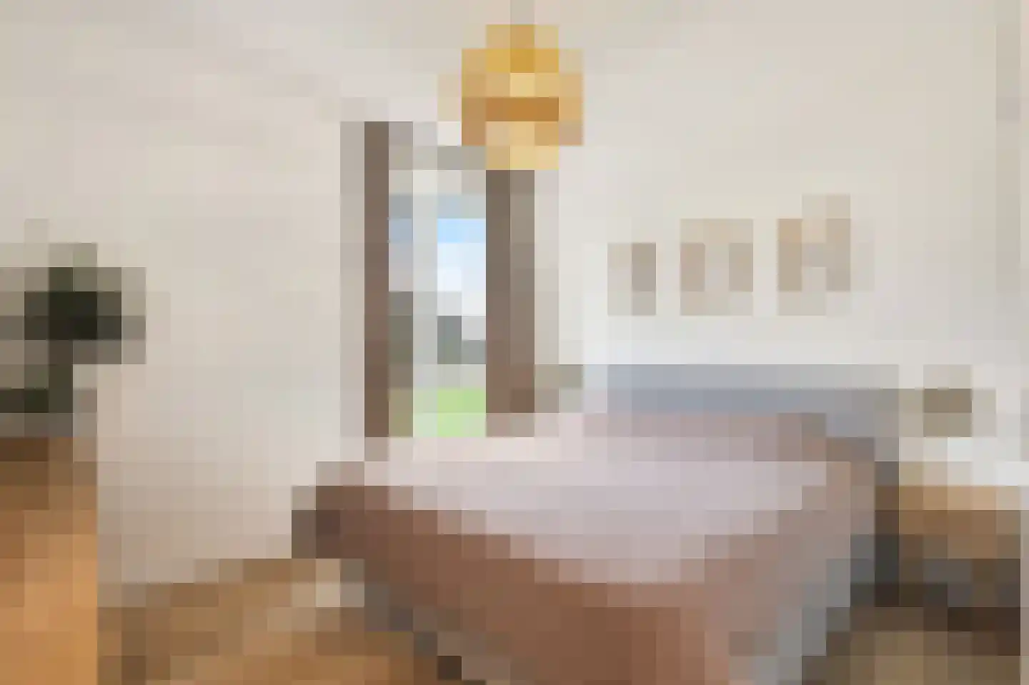 Grasland 8 't Zand thumbnail 25