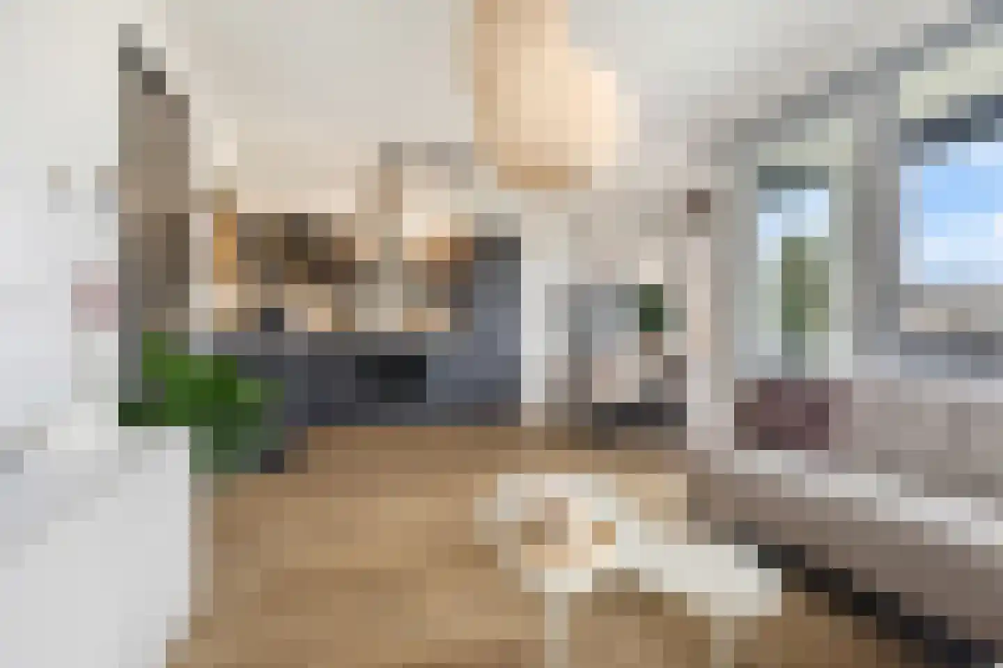 Grasland 8 't Zand thumbnail 4