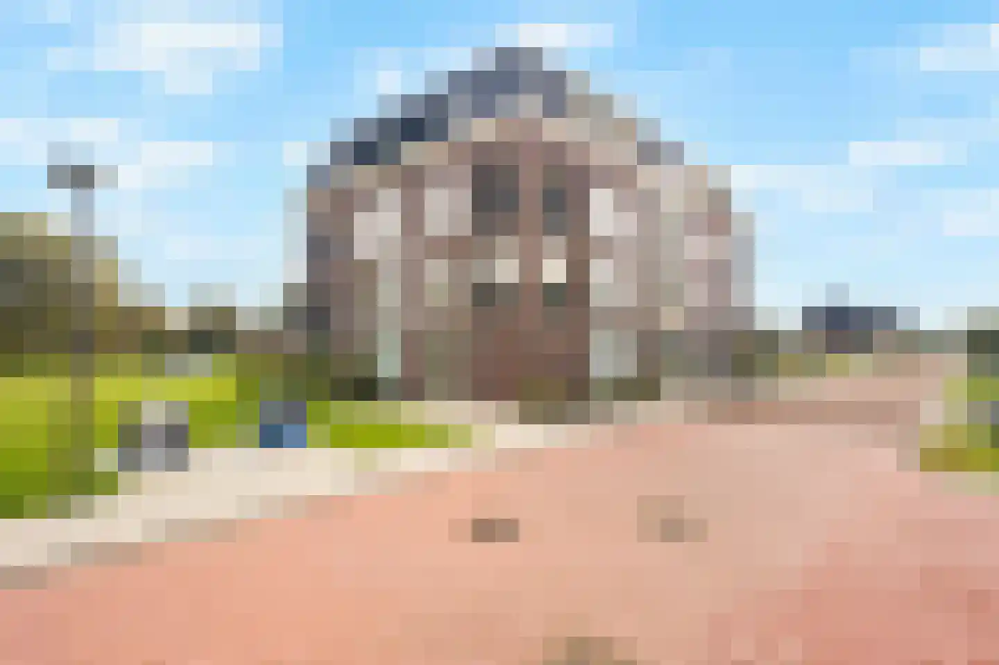 Grasland 8 't Zand thumbnail 9
