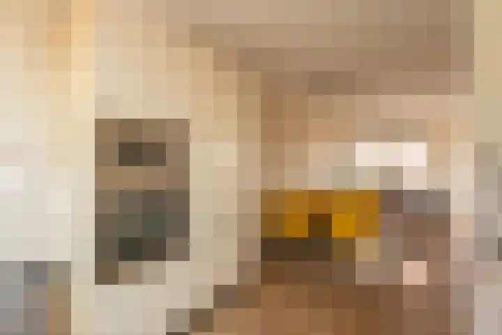 Graslelie 1 Katwijk thumbnail 10