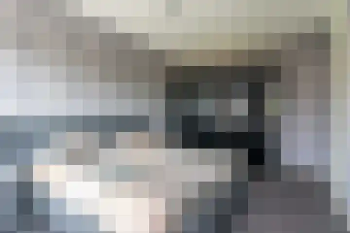 Graslelie 1 Katwijk thumbnail 15