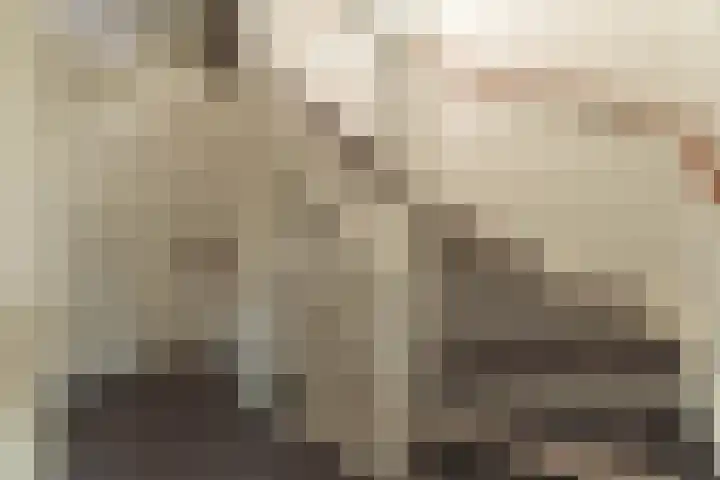 Graslelie 1 Katwijk thumbnail 22