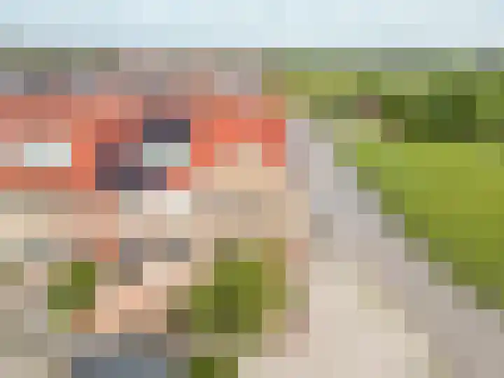Graslelie 1 Katwijk thumbnail 31