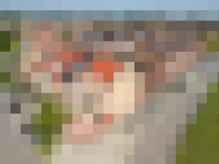 Graslelie 1 Katwijk thumbnail 32